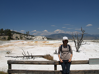 03-05-6 Mammoth Hot Springs --- A shot at Canary Spring